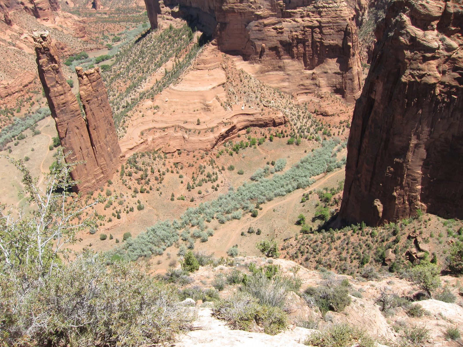 The greens in the valley were so varied ... I actually like this picture a lot